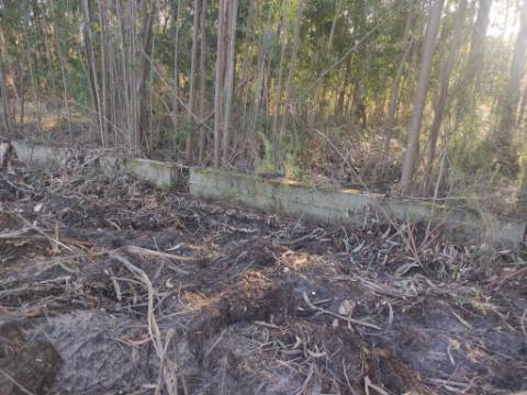 Terreno Rústico com cerca de 4700 m2 na Fonte Santa, Marinha Grande