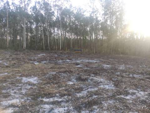 Terreno Rústico com cerca de 4700 m2 na Fonte Santa, Marinha Grande