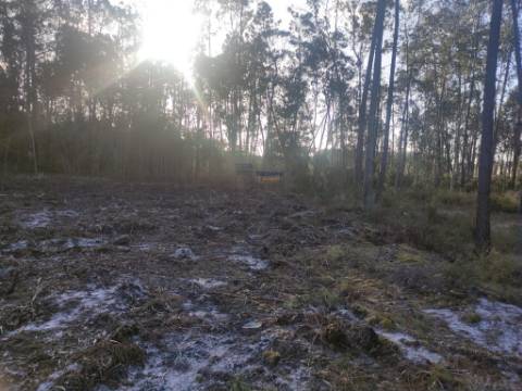 Terreno Rústico com cerca de 4700 m2 na Fonte Santa, Marinha Grande