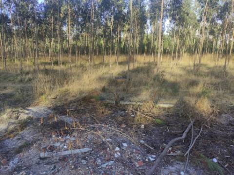 Terreno Rústico com cerca de 4700 m2 na Fonte Santa, Marinha Grande