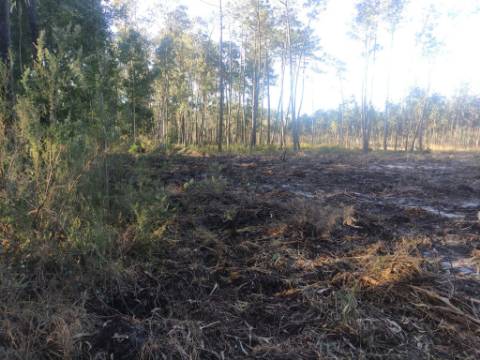 Terreno Rústico com cerca de 4700 m2 na Fonte Santa, Marinha Grande
