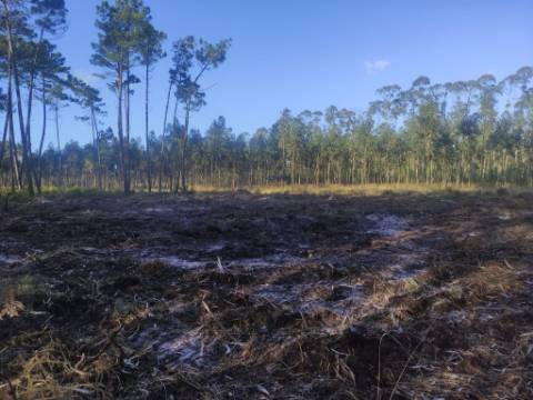 Terreno Rústico com cerca de 4700 m2 na Fonte Santa, Marinha Grande
