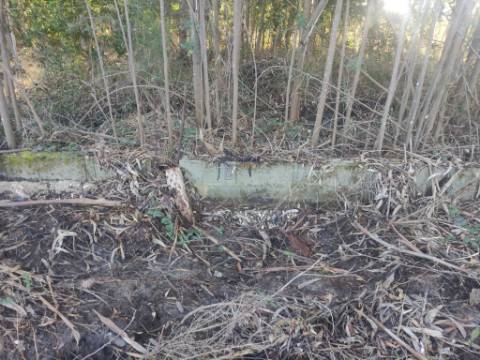 Terreno Rústico com cerca de 4700 m2 na Fonte Santa, Marinha Grande