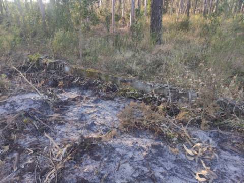 Terreno Rústico com cerca de 4700 m2 na Fonte Santa, Marinha Grande