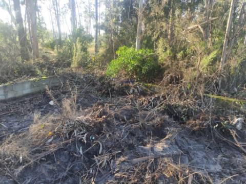 Terreno Rústico com cerca de 4700 m2 na Fonte Santa, Marinha Grande