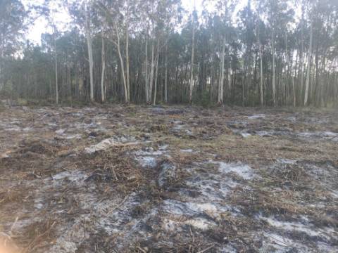 Terreno Rústico com cerca de 4700 m2 na Fonte Santa, Marinha Grande