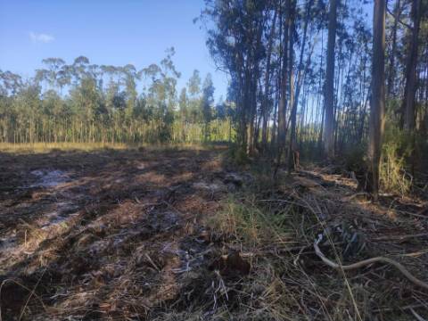 Terreno Rústico com cerca de 4700 m2 na Fonte Santa, Marinha Grande