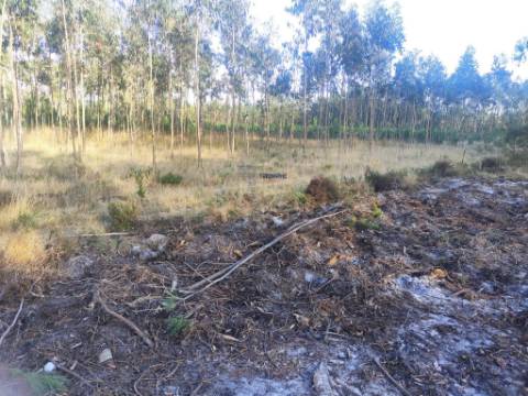 Terreno Rústico com cerca de 4700 m2 na Fonte Santa, Marinha Grande