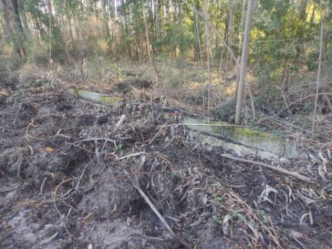 Terreno Rústico com cerca de 4700 m2 na Fonte Santa, Marinha Grande