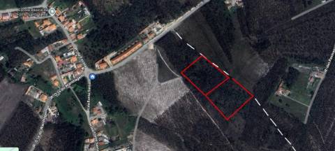 Terreno Rústico com cerca de 4700 m2 na Fonte Santa, Marinha Grande