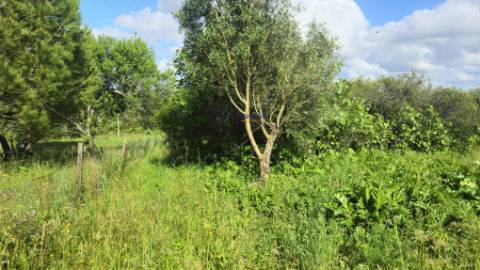 Terreno Rústico Urbanizável, Paialvo, Tomar