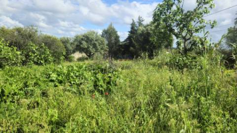 Terreno Rústico Urbanizável, Paialvo, Tomar