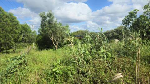 Terreno Rústico Urbanizável, Paialvo, Tomar