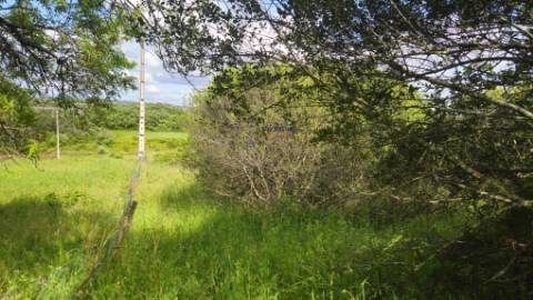 Terreno Rústico Urbanizável, Paialvo, Tomar