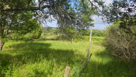 Terreno Rústico Urbanizável, Paialvo, Tomar