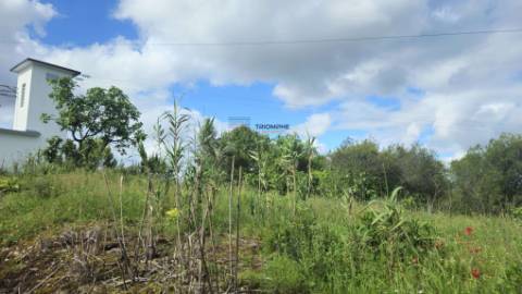 Terreno Rústico Urbanizável, Paialvo, Tomar