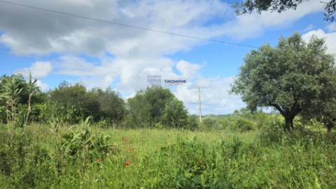 Terreno Rústico Urbanizável, Paialvo, Tomar