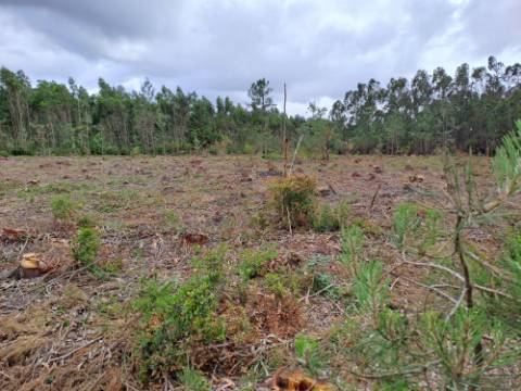 Terreno com viabilidade de construção Hotel Rural localizado em São Martinho do Porto.