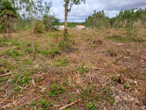 Terreno com viabilidade de construção Hotel Rural localizado em São Martinho do Porto.