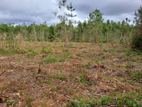 Terreno com viabilidade de construção Hotel Rural localizado em São Martinho do Porto.