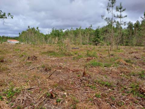 Terreno com viabilidade de construção Hotel Rural localizado em São Martinho do Porto.