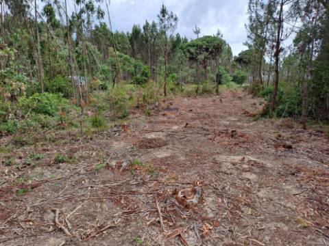 Terreno com viabilidade de construção Hotel Rural localizado em São Martinho do Porto.