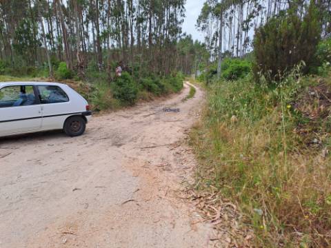 Terreno com viabilidade de construção Hotel Rural localizado em São Martinho do Porto.