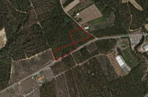 Terreno com viabilidade de construção Hotel Rural localizado em São Martinho do Porto.