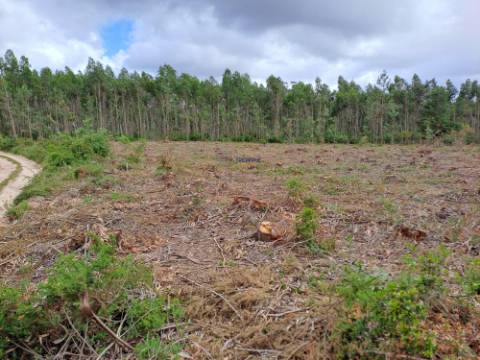 Terreno com viabilidade de construção Hotel Rural localizado em São Martinho do Porto.