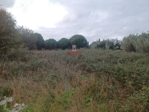 Terreno Urbano 1.430m² Batalha