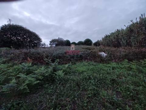 Terreno Urbano 1.430m² Batalha