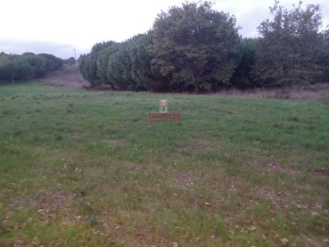 Terreno Urbano 1.430m² Batalha