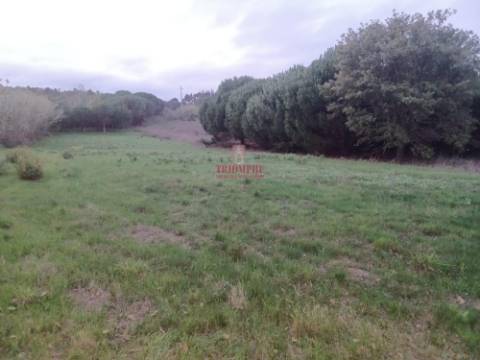 Terreno Urbano 1.430m² Batalha