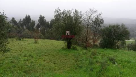 Terreno Urbanizável c/ Projeto Aprovado,1.900m2, Ourém