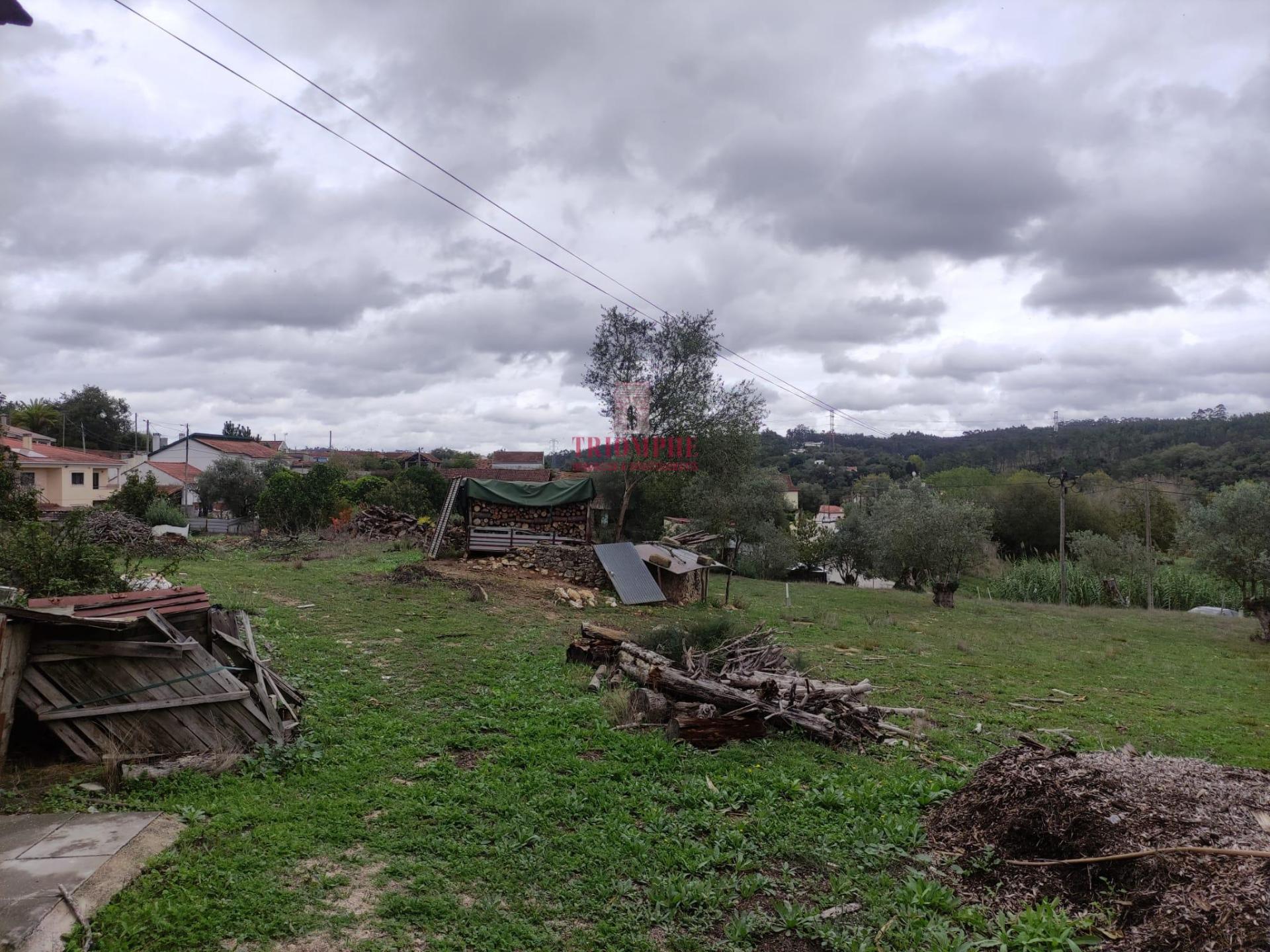 Terreno com 539 m2 com Oliveiras em Milagres, Leiria