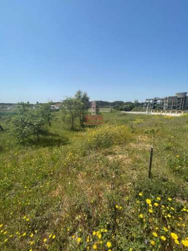 Terreno Rustico c/ 6280m2, Vermoil, Pombal