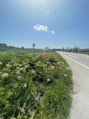 Terreno Rustico c/ 6280m2, Vermoil, Pombal