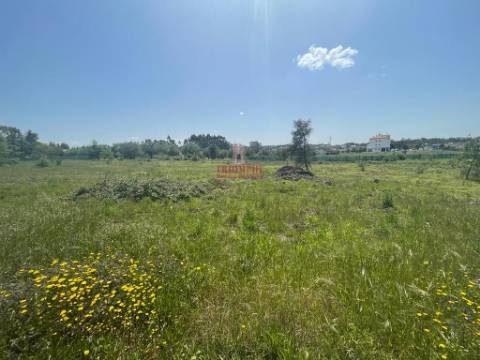 Terreno Rustico c/ 6280m2, Vermoil, Pombal