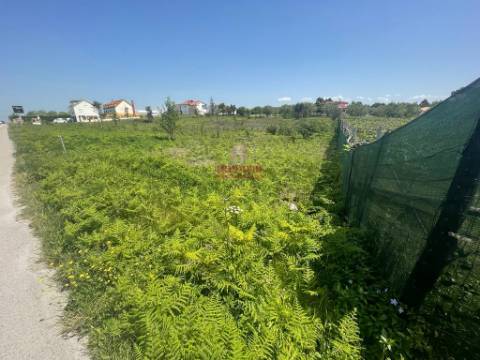 Terreno Rustico c/ 6280m2, Vermoil, Pombal