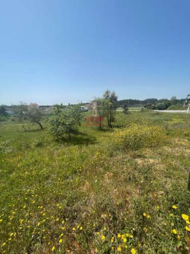 Terreno Rustico c/ 6280m2, Vermoil, Pombal