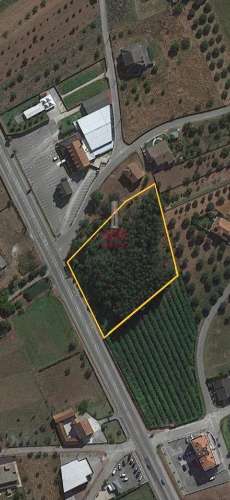 Terreno Rustico c/ 6280m2, Vermoil, Pombal