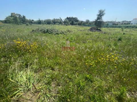 Terreno Rustico c/ 6280m2, Vermoil, Pombal