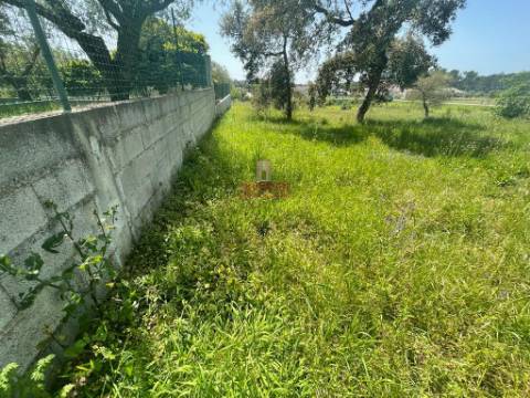 Terreno Rustico c/ 6280m2, Vermoil, Pombal