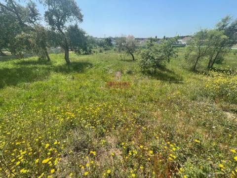 Terreno Rustico c/ 6280m2, Vermoil, Pombal