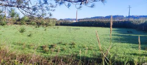 Terreno de 16947m2 em Lavradio, Caldas da Rainha