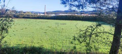 Terreno de 16947m2 em Lavradio, Caldas da Rainha