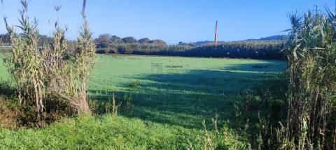 Terreno de 16947m2 em Lavradio, Caldas da Rainha