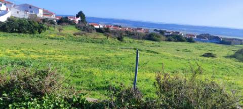 Terreno de 5460 m2 em Salir do Porto, Caldas da Rainha