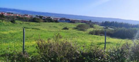 Terreno de 5460 m2 em Salir do Porto, Caldas da Rainha