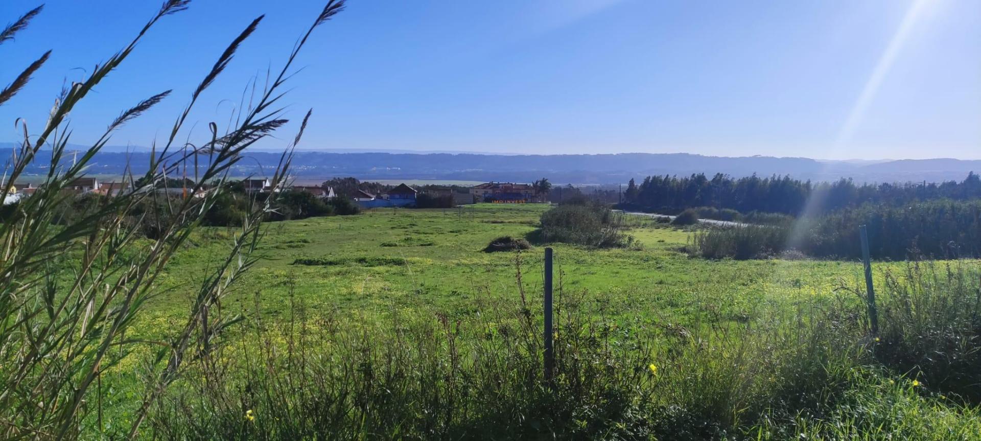 Terreno de 5460 m2 em Salir do Porto, Caldas da Rainha